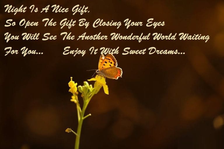 Good Night Pics Messages