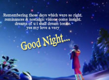 Good night wishes for boyfriend or girlfriend