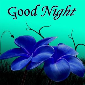 Good Night love Images: Gud nite Love Wishes and Messages