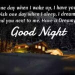 Good Night Quotes