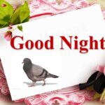 Good Night Messages
