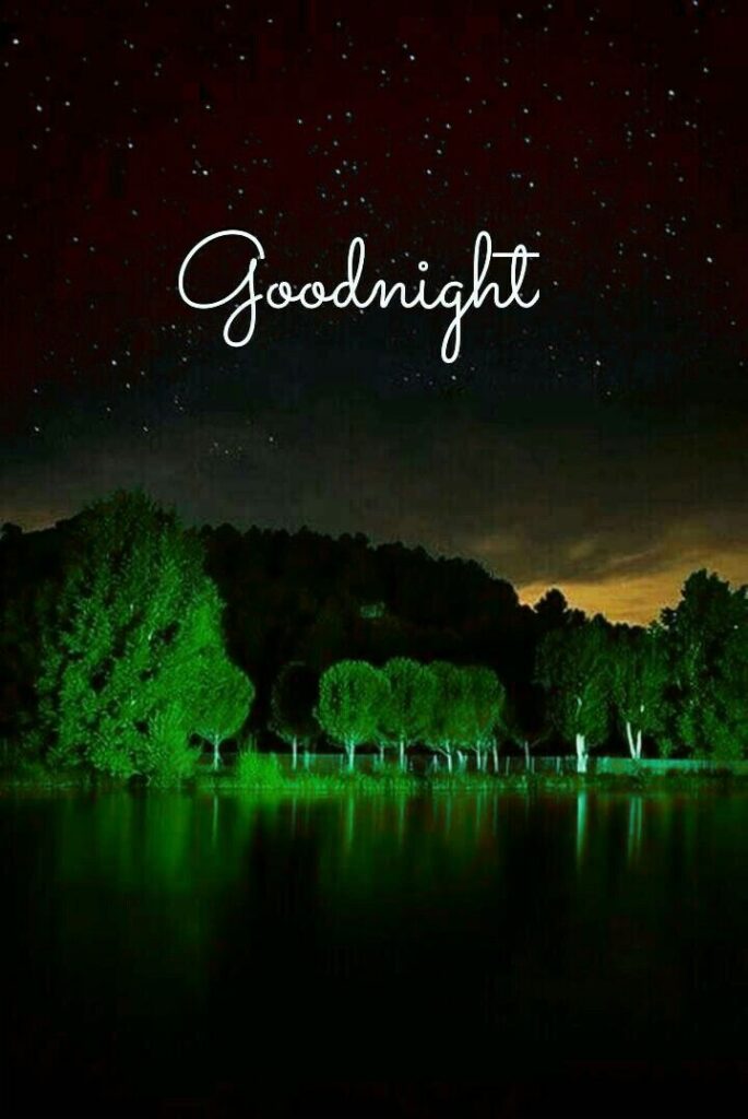 Lovely Good Night Wishes