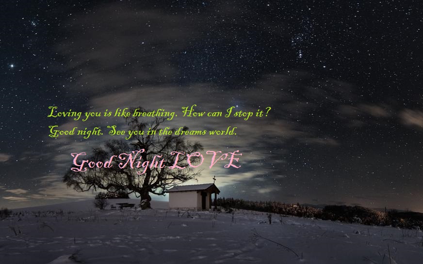 Lovely Good Night Quotes