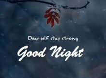 Good Night Quotes for Best Friend