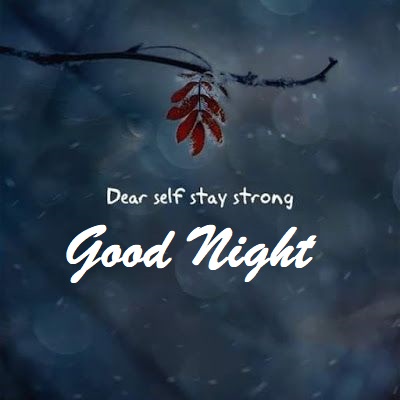 Good Night Quotes for Best Friend
