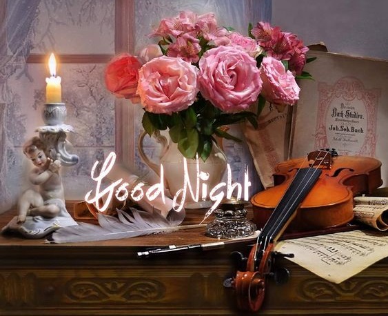 Sweet Night - Violin