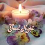 Sweet Good Night Quotes for Him