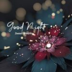 Cute Good Night Wishes