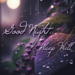 Good Night Images and Wishes 2023