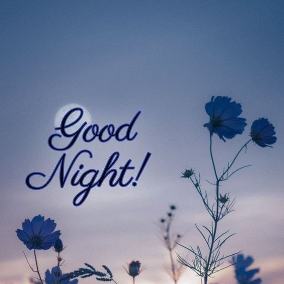 Good Night Images Quotes Greetings