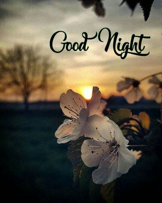 simple good night images & wishes